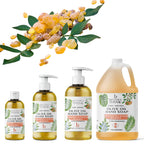 Brittanie's Thyme Pure Organic Castile Soap Refill with Frankincense — 1 Gallon | Vegan, Gluten-Free, Non-GMO