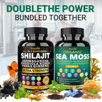 Bualle Organic Sea Moss for Women & Shilajit for Men – 12-in-1 Plant-Powered Wellness (120 Vegan Capsules)