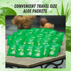 by.H Organic Aloe Vera Gel Bulk – 90 PCS (3 x 30) for Skin & Hair, Non-Greasy Moisturizer, Made in Korea