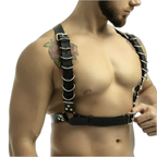 Full Buckle Body Harness