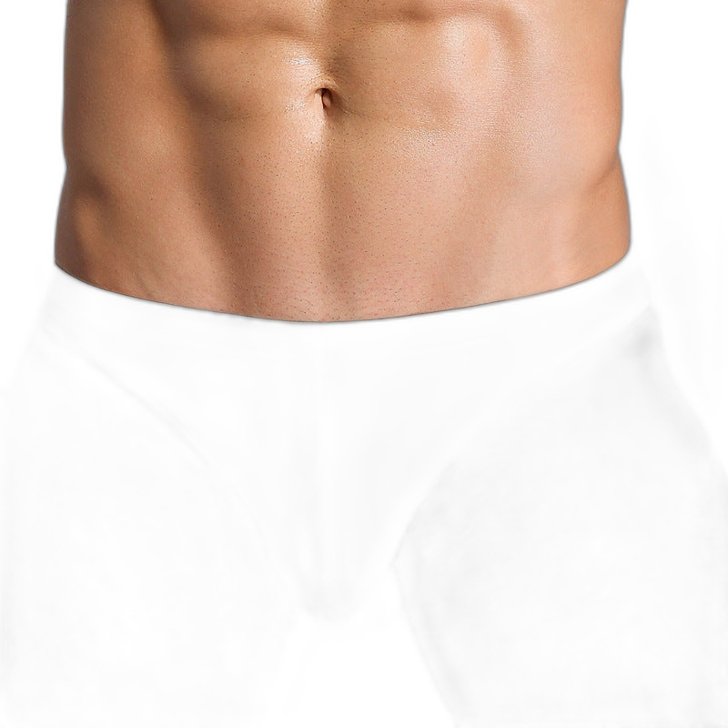 Essentials Ice Silk Briefs