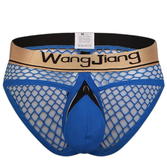Mens Sexy Mesh Breathable U Convex Pouch Briefs