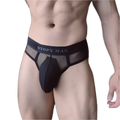 GX Ice Silk Briefs