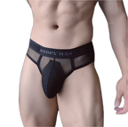 GX Ice Silk Briefs