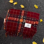 Fashionable And Versatile Women's Imitation Cashmere Scarf With Tassels For Students