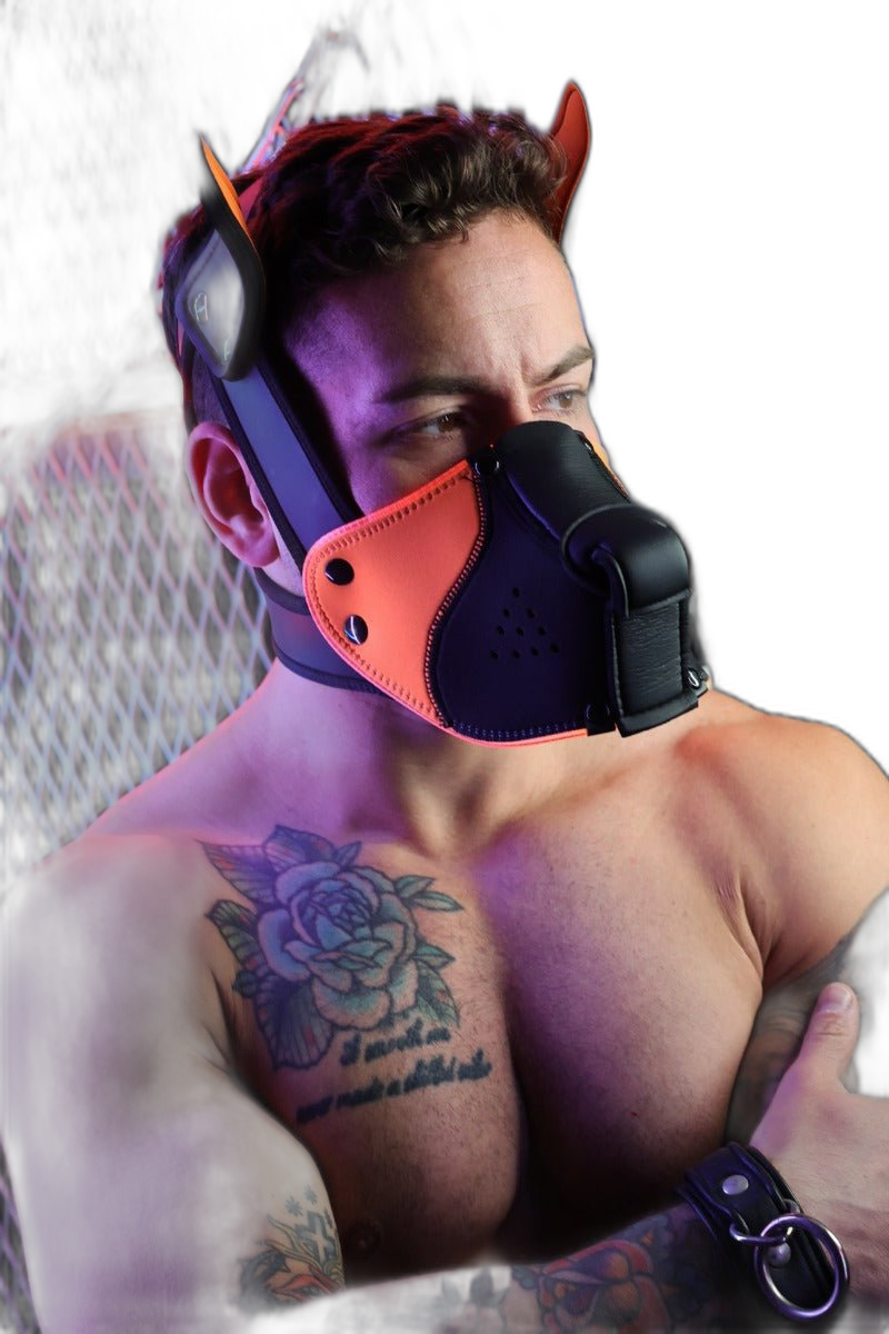 Breedwell Poundtown Pup Mask 2.0 Neon Orange