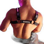 Breedwell Prismaglow Bulldog Harness