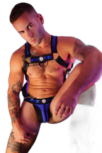 Breedwell Illuminator Body Harness Blue Holo