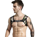 Shoulder Harness