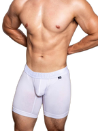 2 Pack Men's Trendy Breathable Ice Silk Boxer Briefs