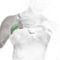 Breedwell Revolution Bulldog Harness Neon Green