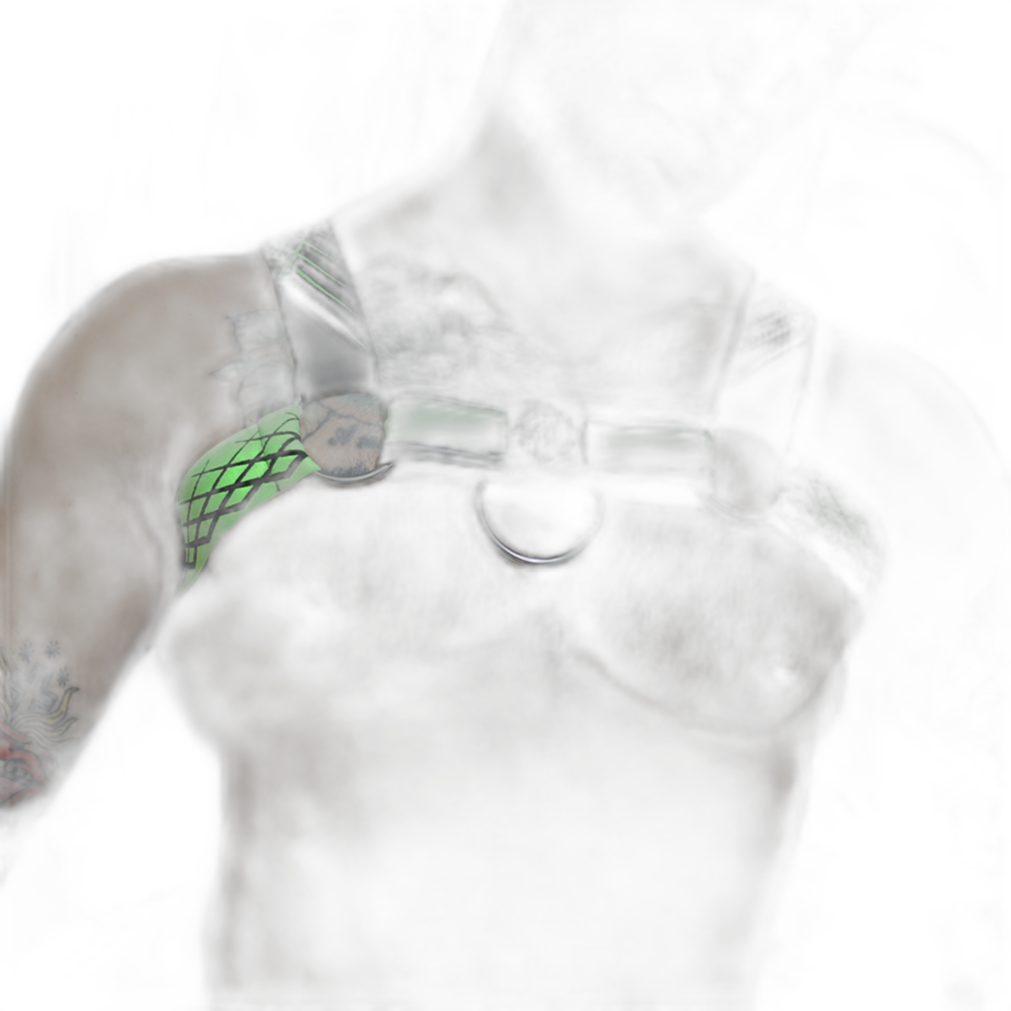 Breedwell Revolution Bulldog Harness Neon Green
