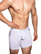 2 Pack Men's Trendy Breathable Ice Silk Boxer Briefs