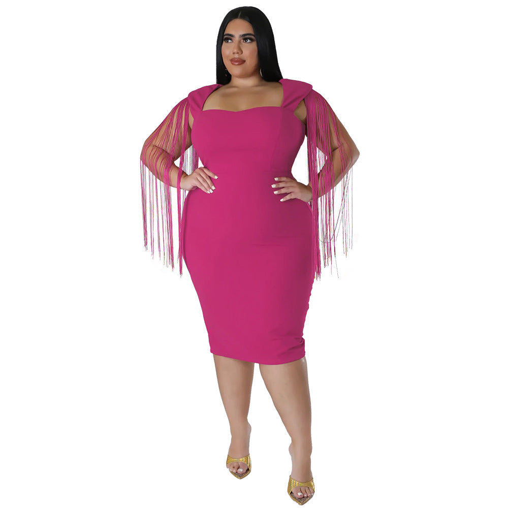 Sexy Tassel Sleeveless Elegant Figure-hugging Dress