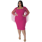 Sexy Tassel Sleeveless Elegant Figure-hugging Dress