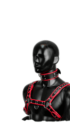 Harness, Cuff, Collar Bundle Green