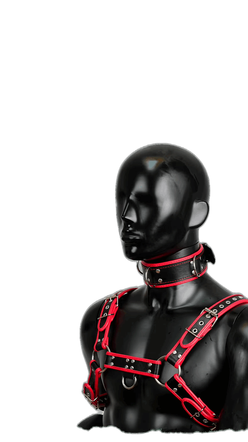 Harness, Cuff, Collar Bundle Red