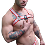 Breedwell Groove Bulldog Harness Red