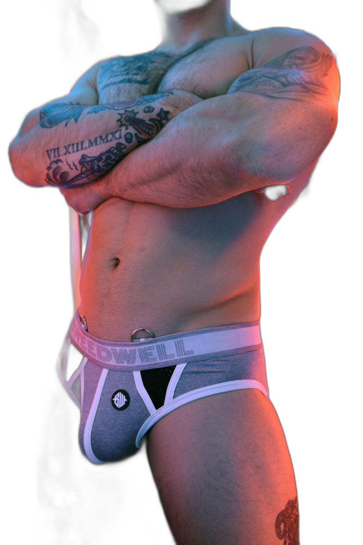 Breedwell Retro Remix Briefs Heather Grey