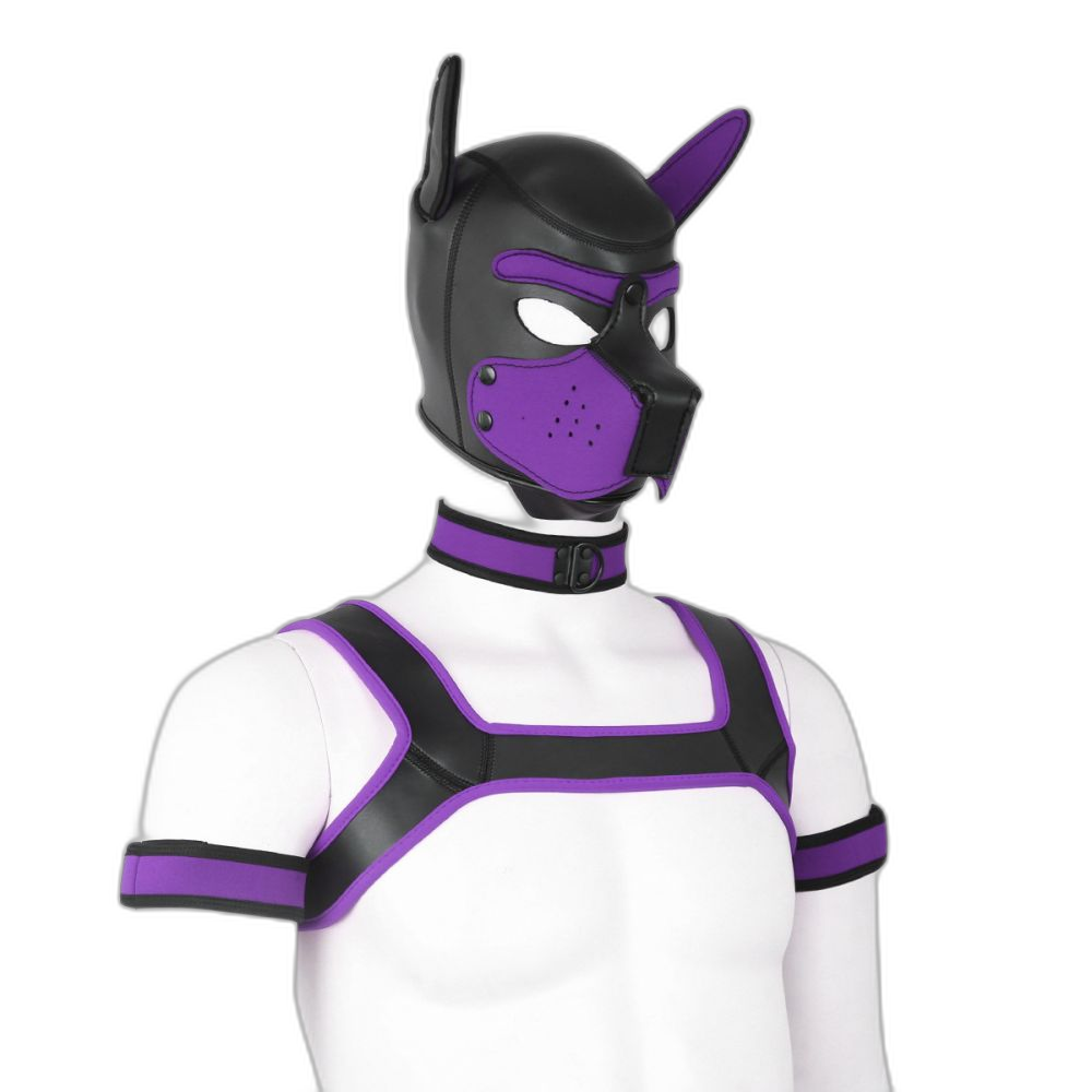 Beta Puppy Play Set - Pup Hood & BDSM Collar & Chest Harness
