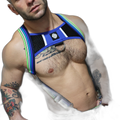 Breedwell Retro Remix Harness Blue
