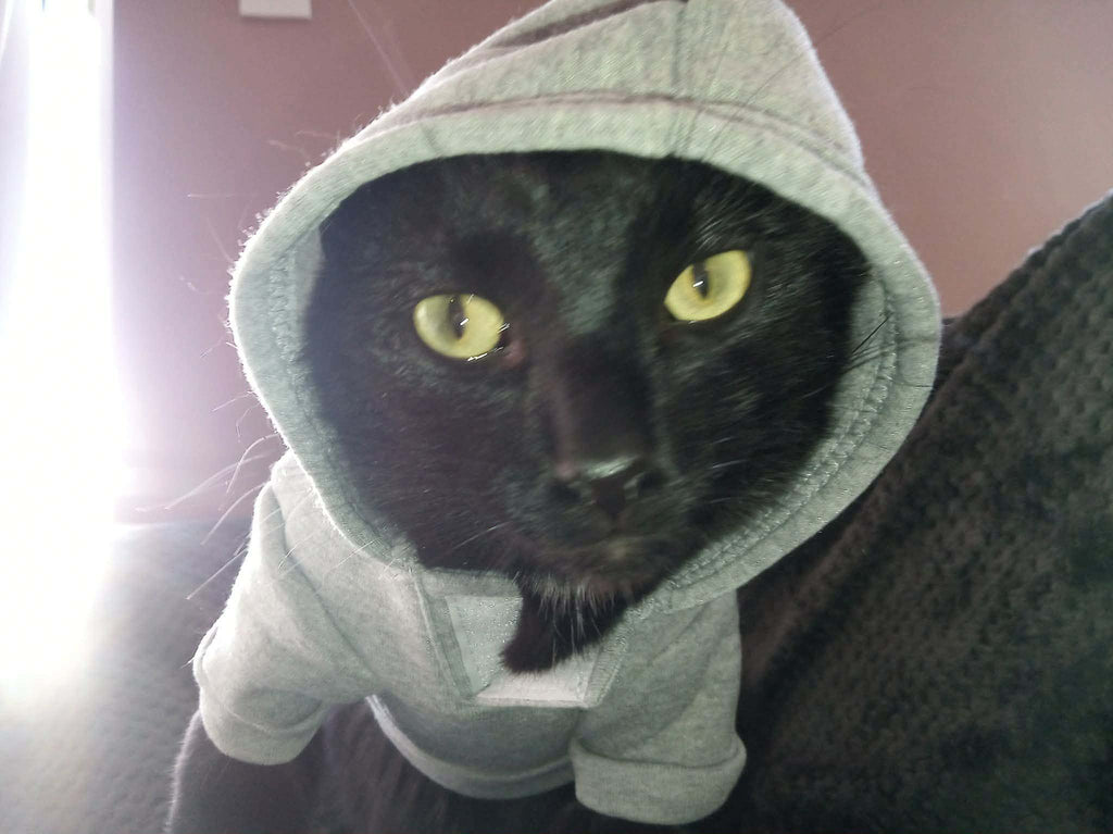 CAT FUN Two small GREY JUMPERS