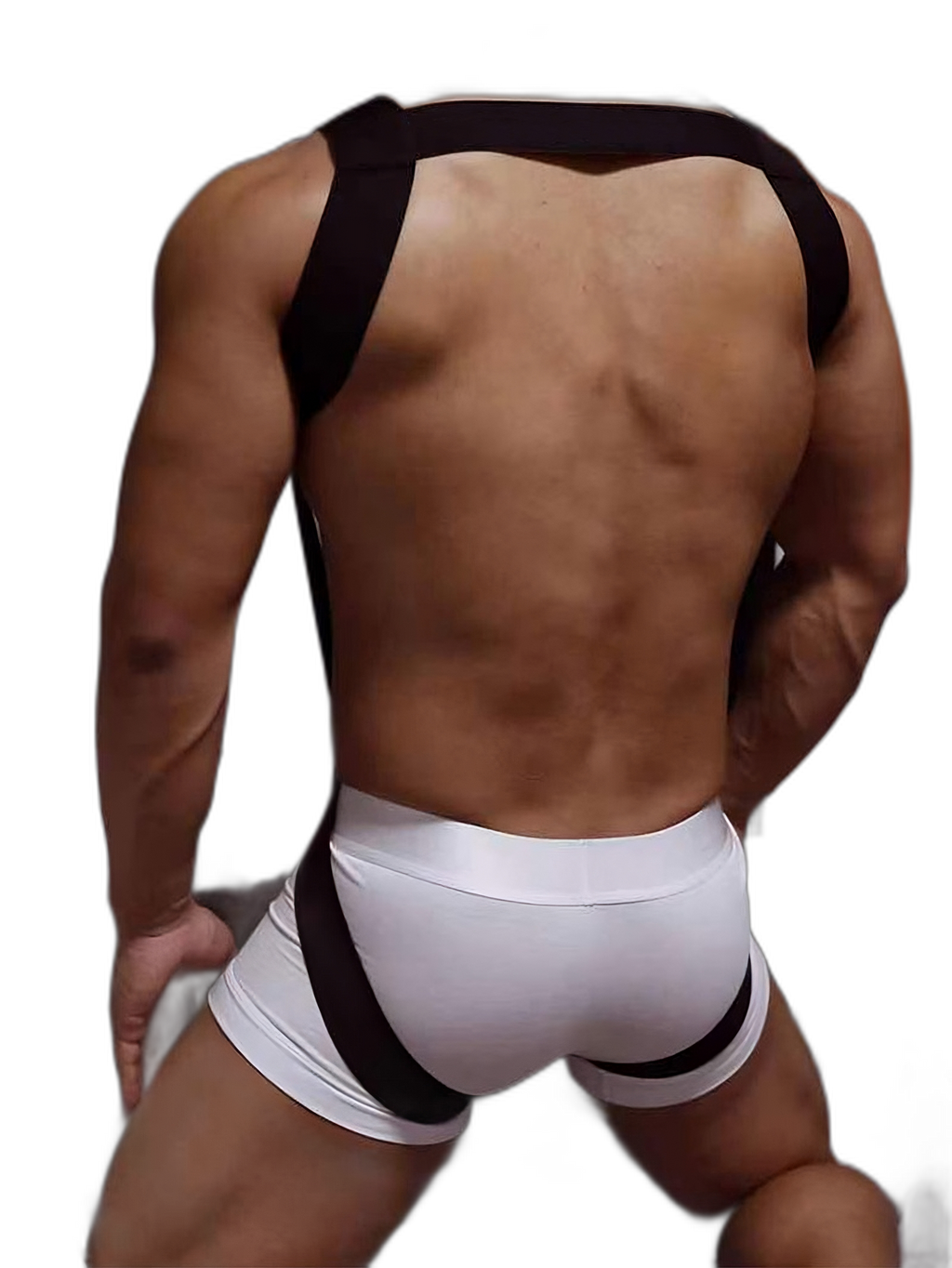 Wide Band Full Body Harness