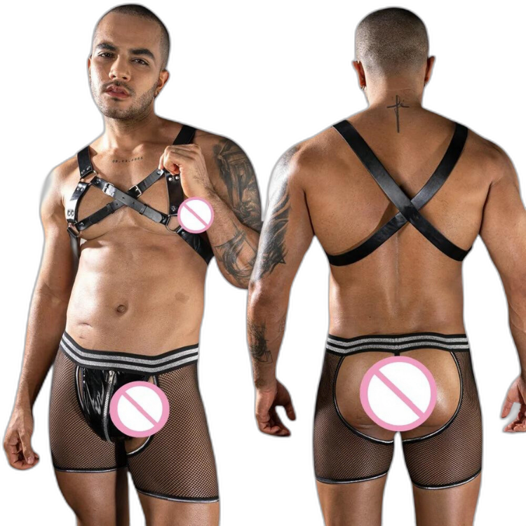 Forbidden Fantasy Harness and Mesh Briefs
