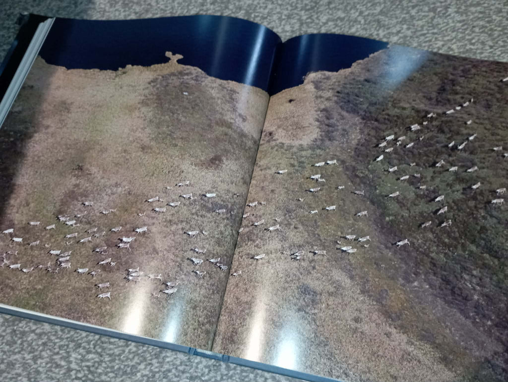 BOOK : FROZEN PLANET (ripped cover)