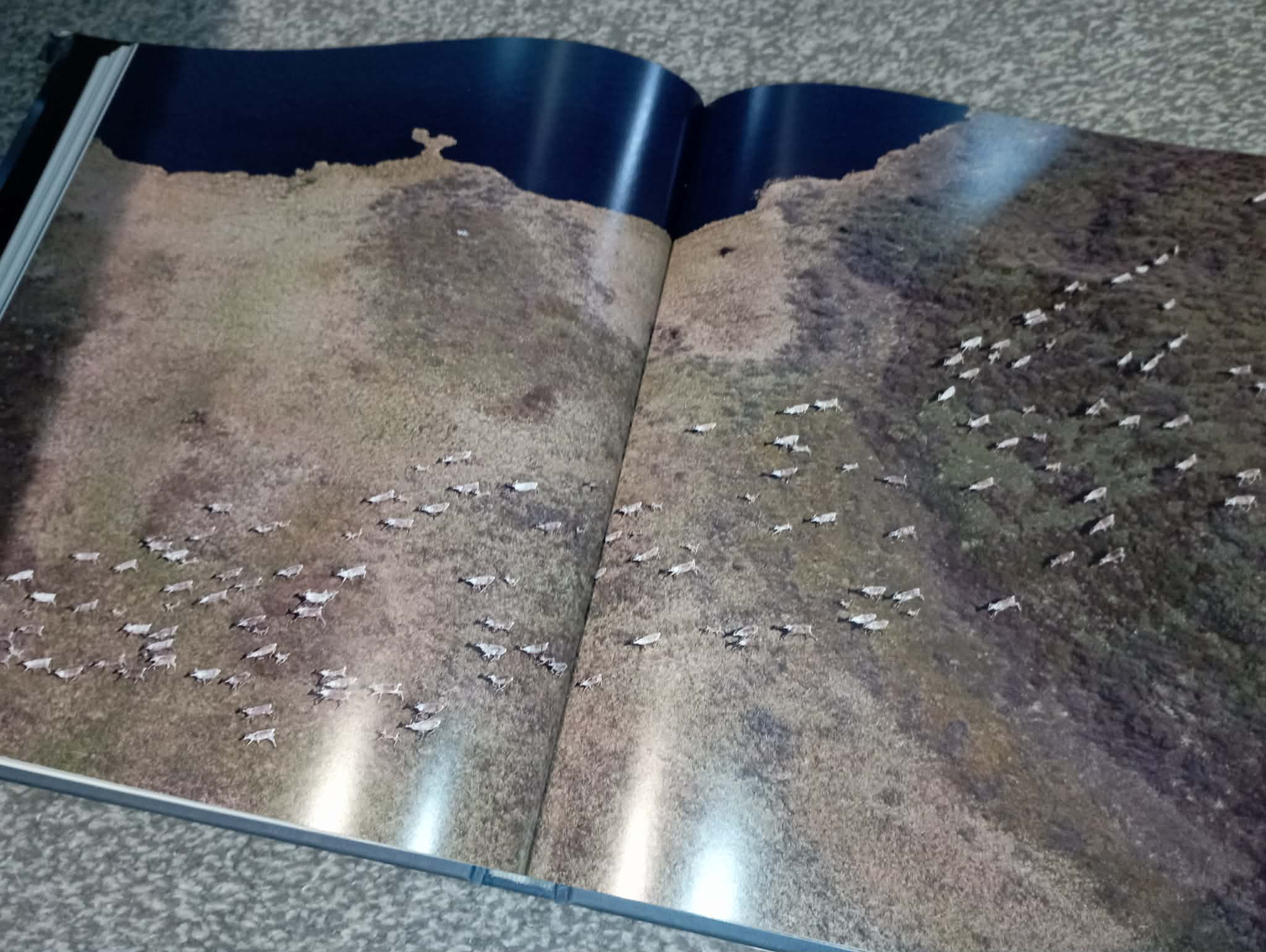 BOOK : FROZEN PLANET (ripped cover)