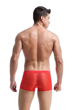 Transparent Mesh Boxers