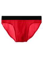 4 Pack Ice Silk Seamless Men's Briefs