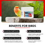 Morning Bird Calcium Plus Powder for Birds 1 oz – Calcium & Vitamin Supplement for Bone Health
