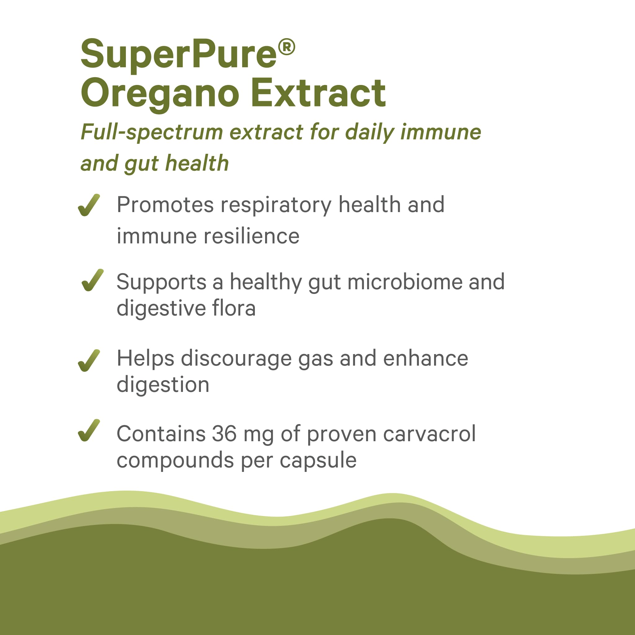 PURE SYNERGY SuperPure Oregano-Extrakt Kapseln | Bio Oregano-Öl & -Blatt