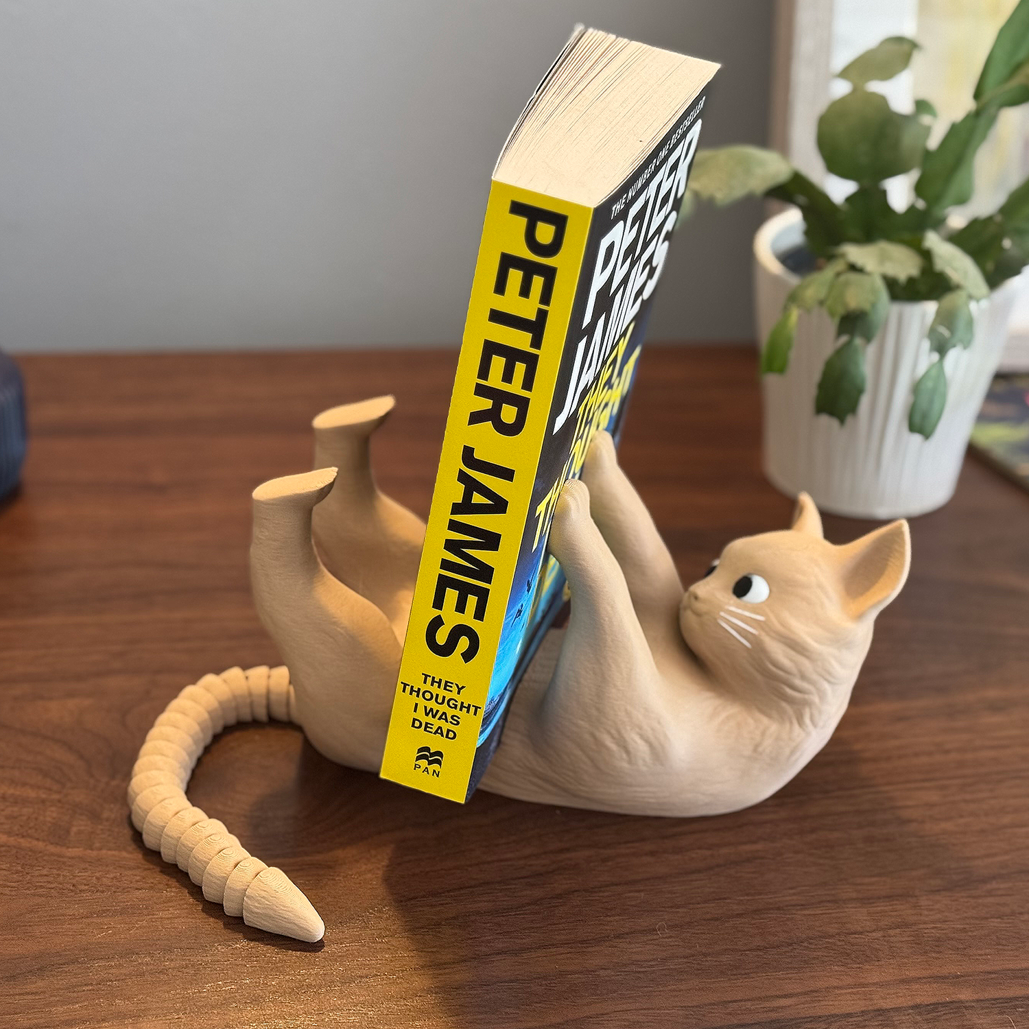 Purr-fect Reading Companion: Cat Book Display with Articulating Tail!