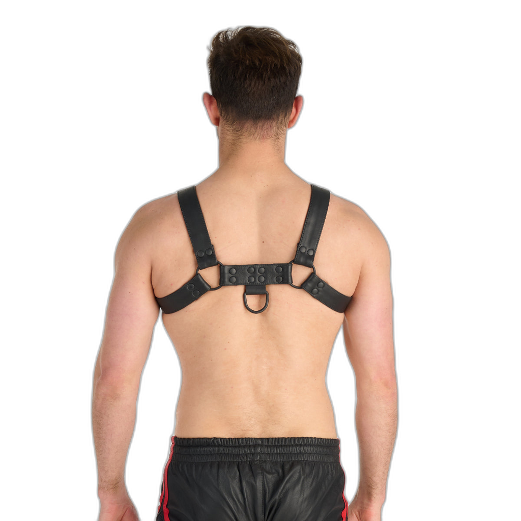 Prowler RED Leather Premium Noir Harness Black
