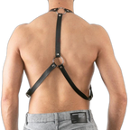 Buckle Up Buddy Black Harness