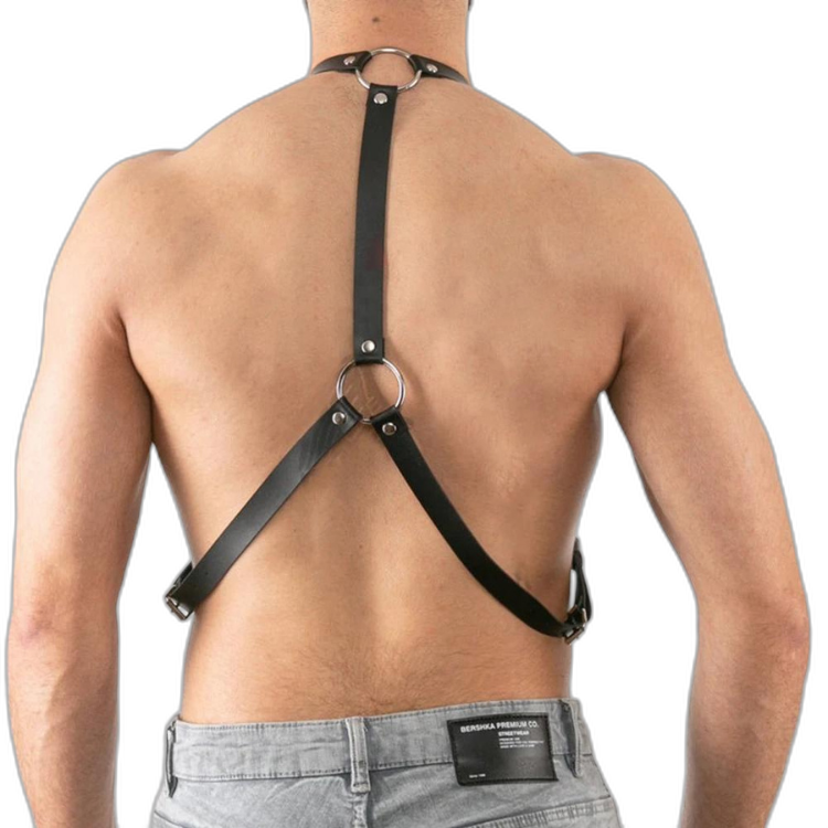 Buckle Up Buddy Black Harness