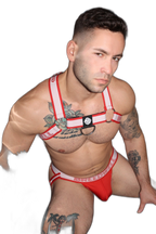 Breedwell Groove Bulldog Harness Red