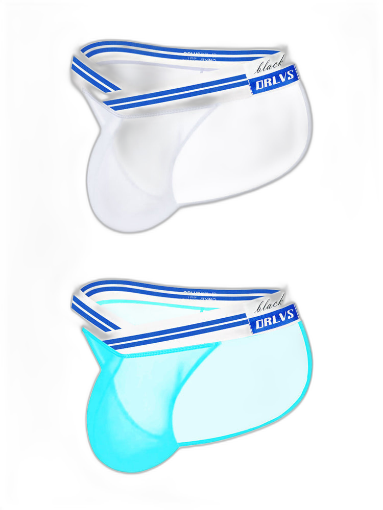 2-pack Men's Sexy Semi-transparent Mesh Briefs