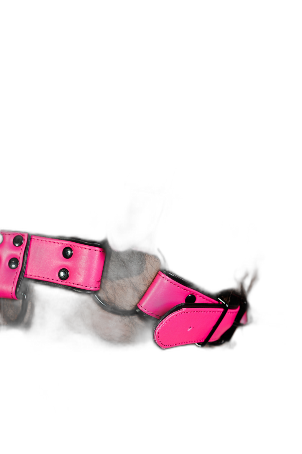 ruff GEAR Bold Leather Bulldog Harness Neon Pink
