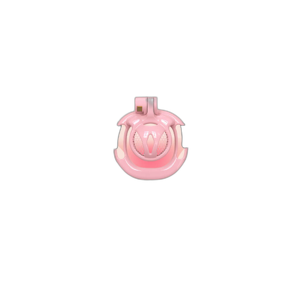 Cassian - Tiny Chastity Cage - Male Chastity Equipment - With Belt And Four Rings