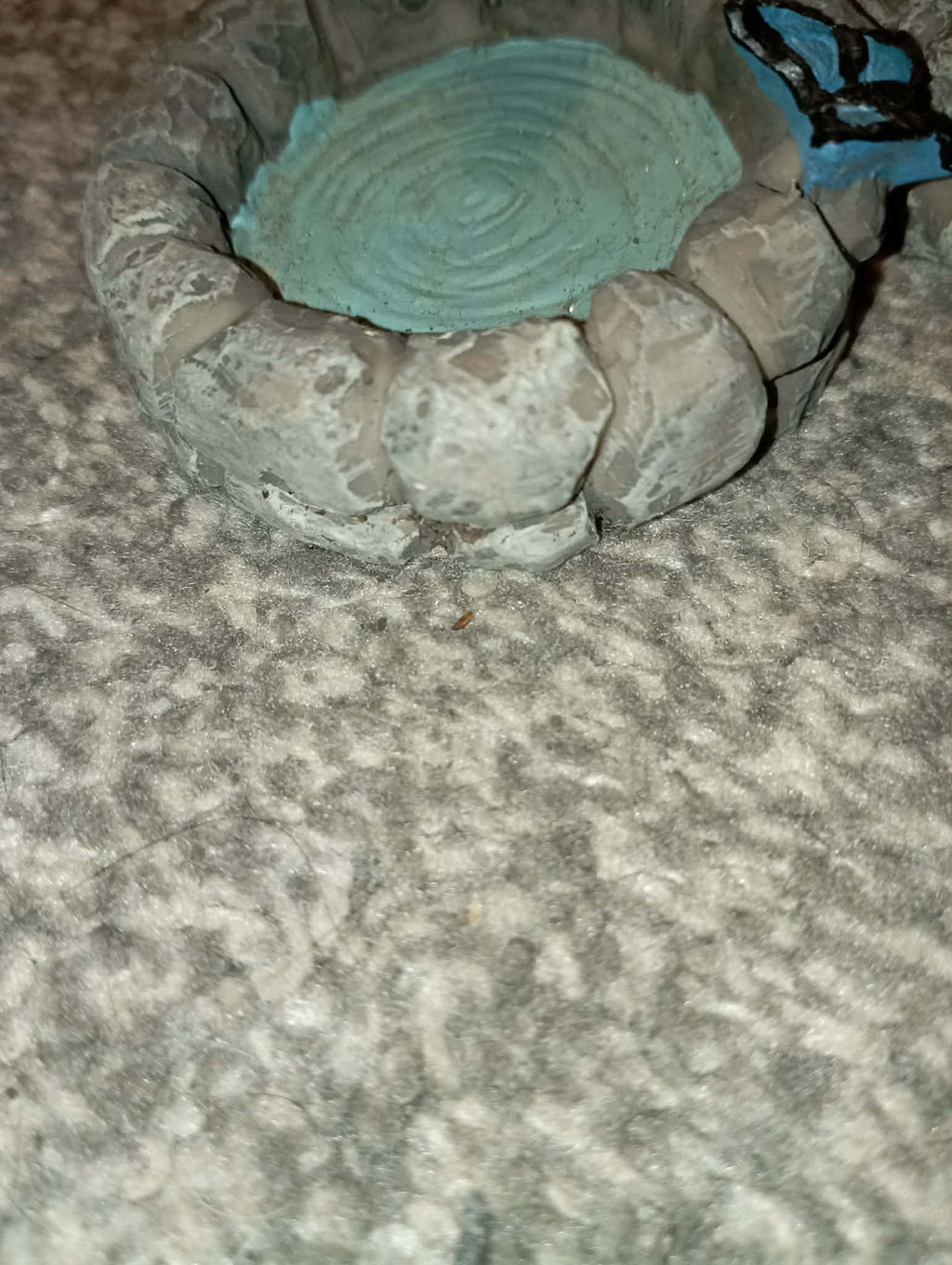 2 SMALL DECORATIVE POOL/BIRD/POND