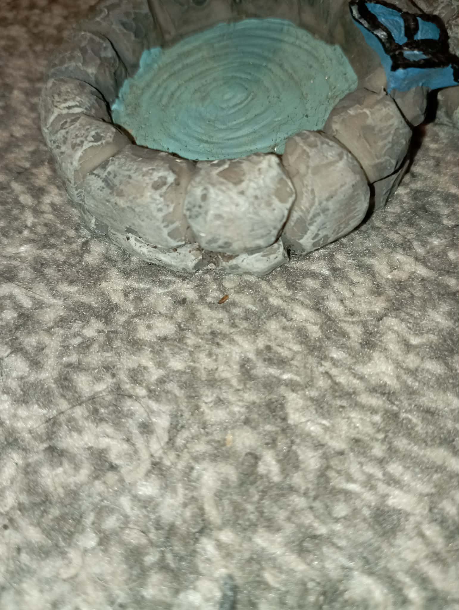2 SMALL DECORATIVE POOL/BIRD/POND