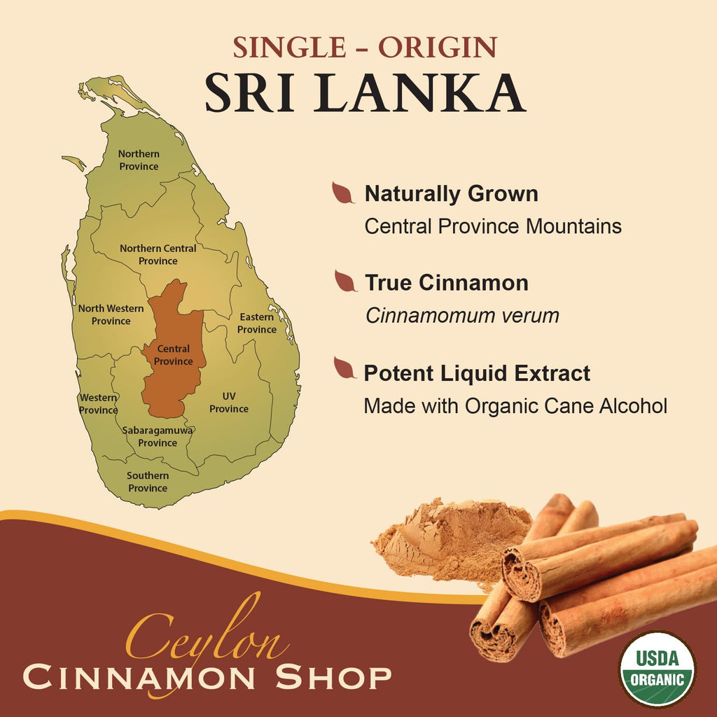 Ceylon Zimt Shop CinnaGold™ Bio-Ceylon-Zimt – 120 ml hochwirksamer flüssiger Extrakt (100 % zertifiziert) – Super-Antioxidans