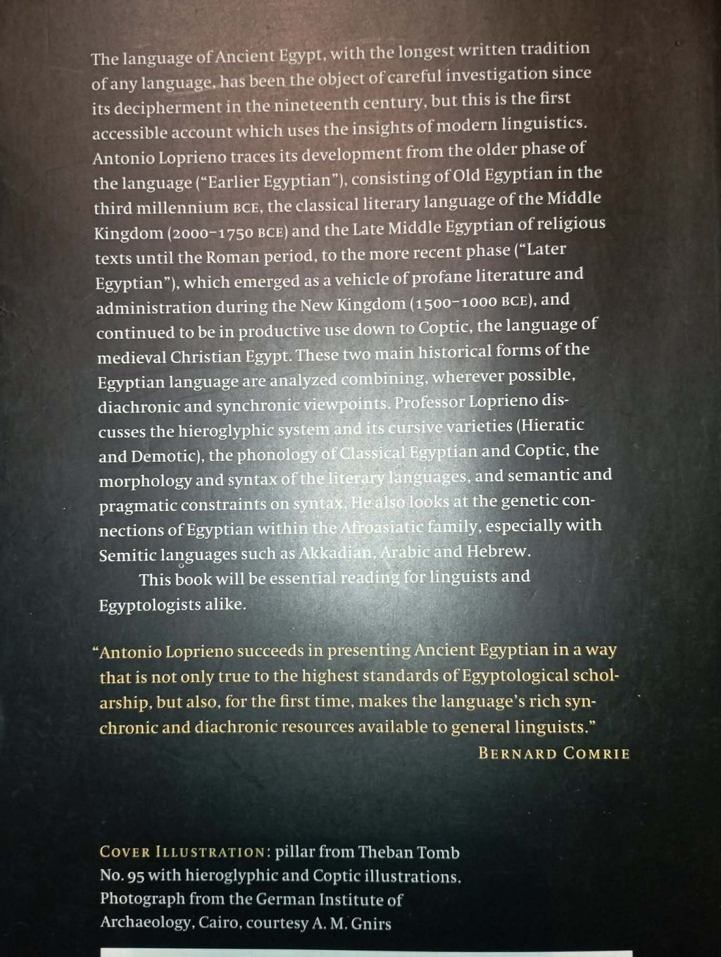 BOOK : ANCIENT EGYPTIAN by ANTONIO LOPRIENO