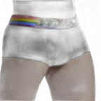 Rainbow Boxer Briefs
