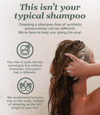 Chagrin Valley Ayurvedische Bio-Shampoo & Duschgel Seife – 5.6 oz 3er-Pack, Sulfatfrei, Vegan