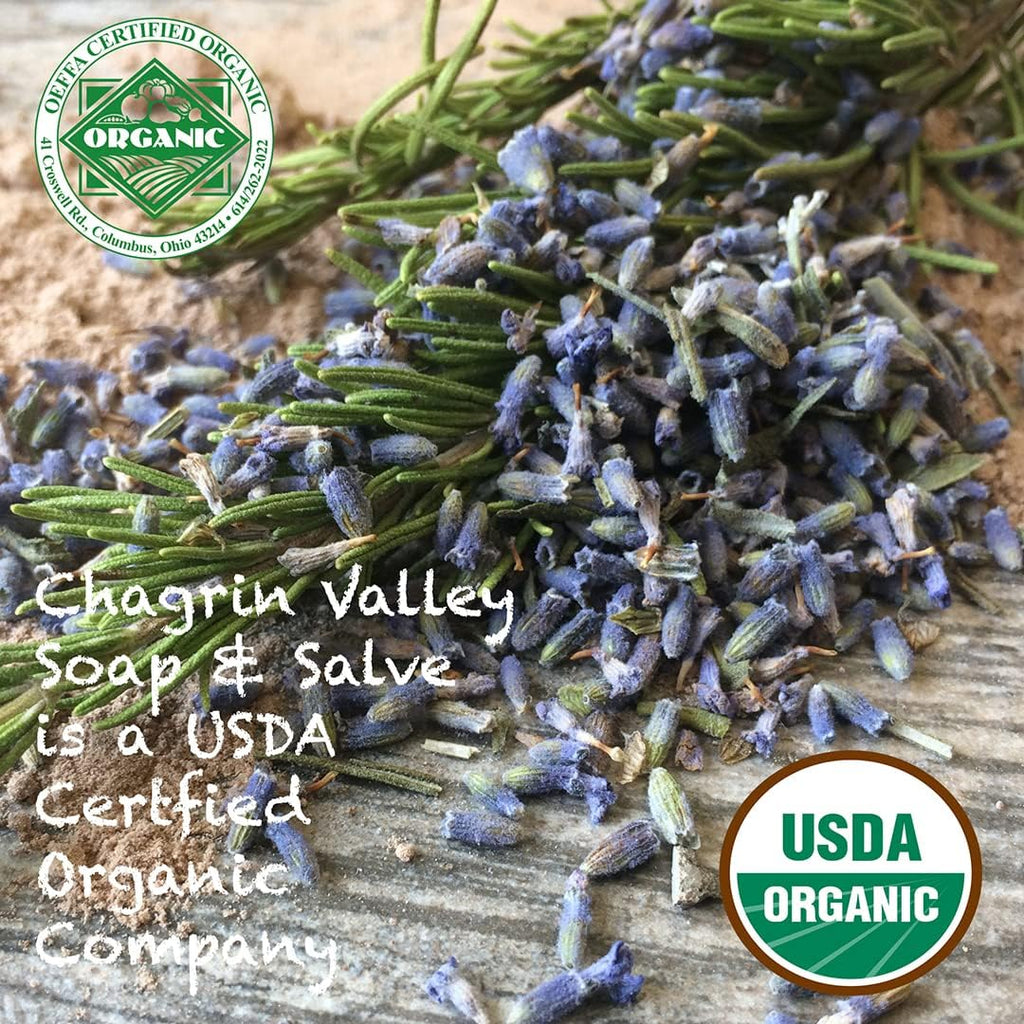 Chagrin Valley Ayurvedische Bio-Shampoo & Duschgel Seife – 5.6 oz 3er-Pack, Sulfatfrei, Vegan