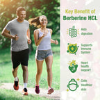 CHANUBITO 4-Pack Organic Berberine Supplement – High Potency Berberine HCl, Non-GMO